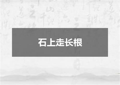 石上走长根
