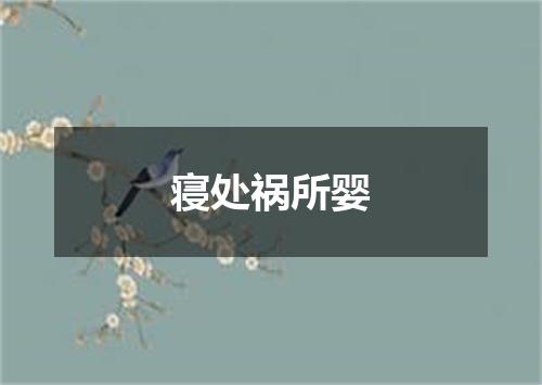 寝处祸所婴