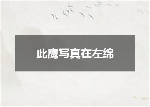 此鹰写真在左绵
