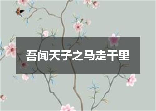 吾闻天子之马走千里