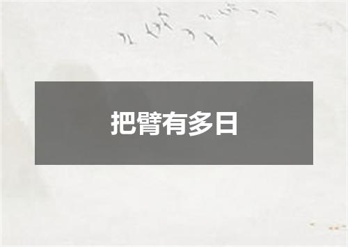 把臂有多日