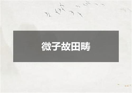 微子故田畴