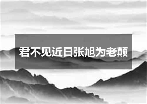 君不见近日张旭为老颠