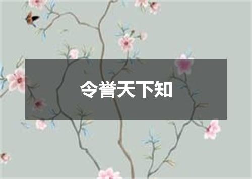 令誉天下知