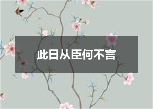 此日从臣何不言