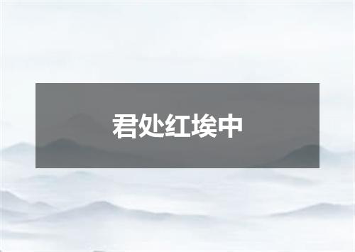 君处红埃中