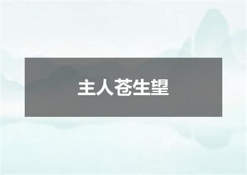 主人苍生望