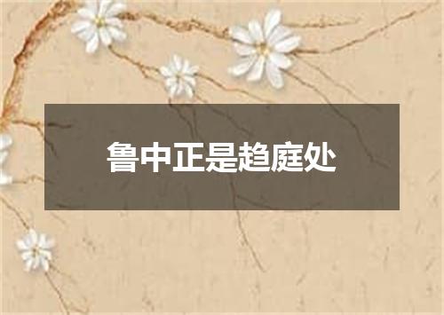 鲁中正是趋庭处