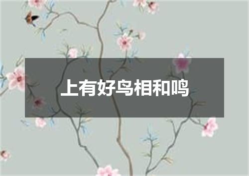上有好鸟相和鸣
