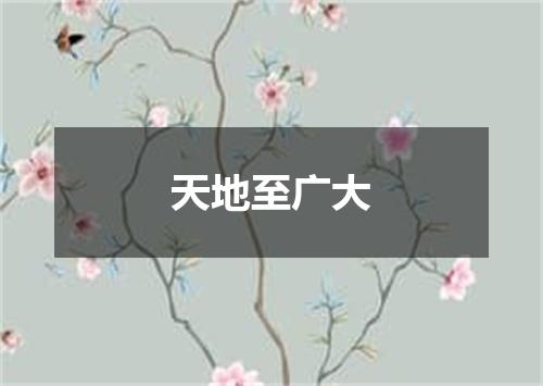 天地至广大