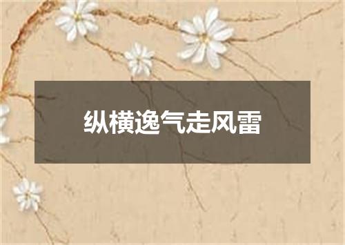 纵横逸气走风雷