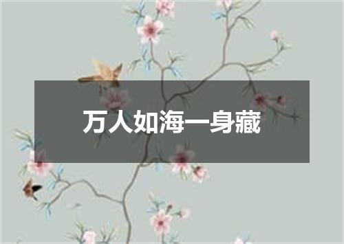 万人如海一身藏