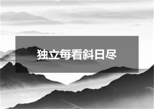 独立每看斜日尽