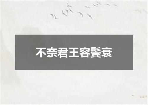 不奈君王容鬓衰