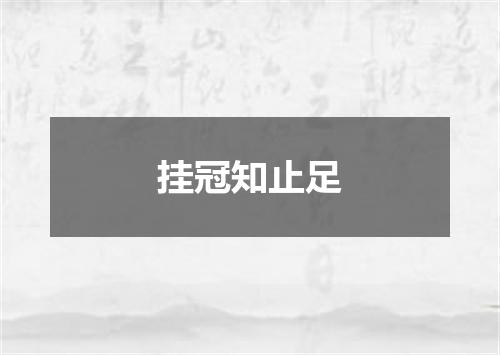 挂冠知止足