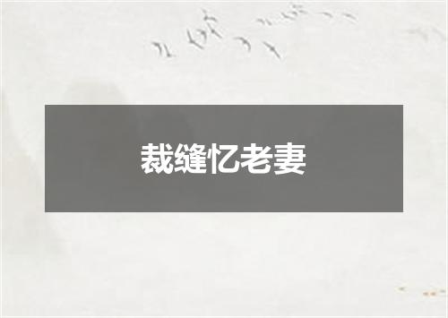 裁缝忆老妻