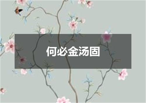 何必金汤固