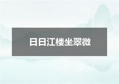 日日江楼坐翠微