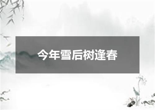 今年雪后树逢春