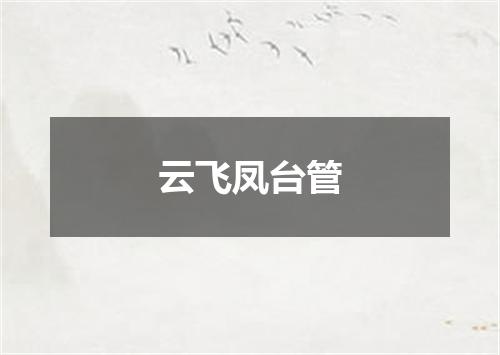 云飞凤台管