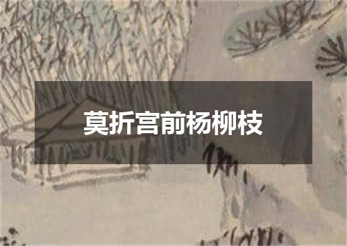 莫折宫前杨柳枝