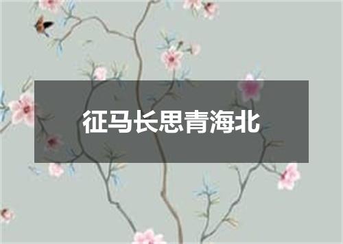 征马长思青海北