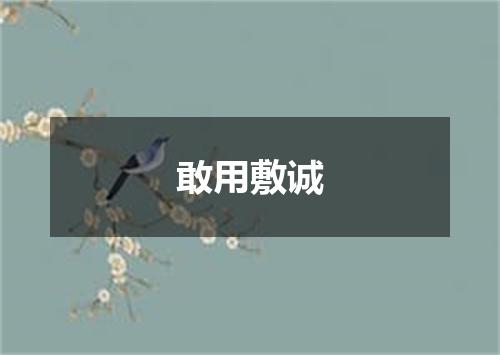 敢用敷诚