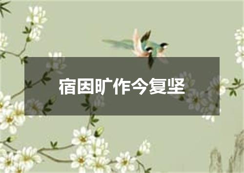 宿因旷作今复坚