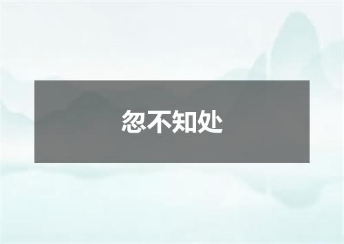 忽不知处
