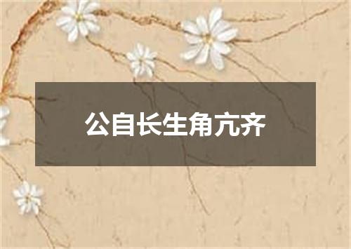 公自长生角亢齐