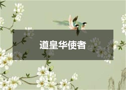 道皇华使者