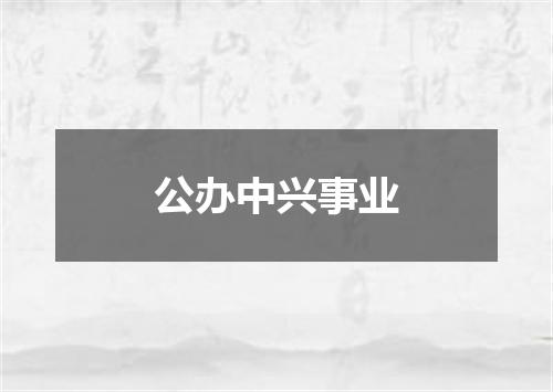 公办中兴事业
