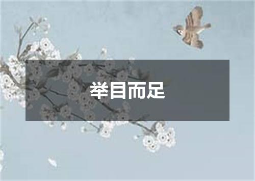 举目而足