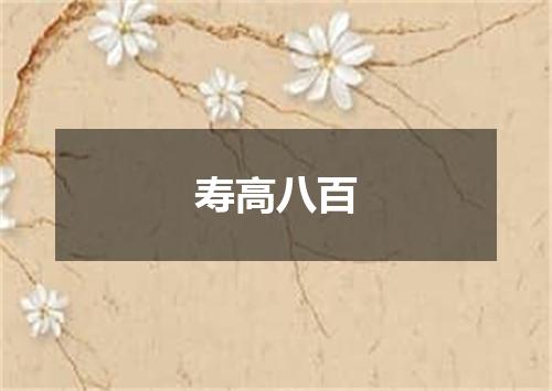 寿高八百