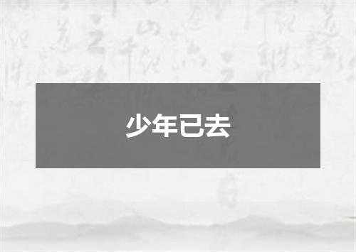 少年已去