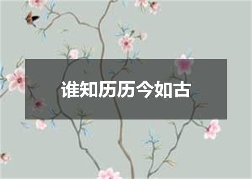 谁知历历今如古