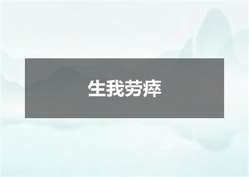 生我劳瘁