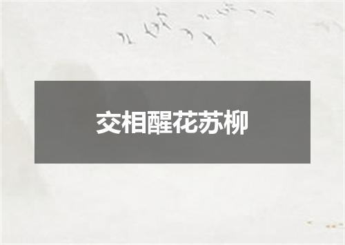 交相醒花苏柳
