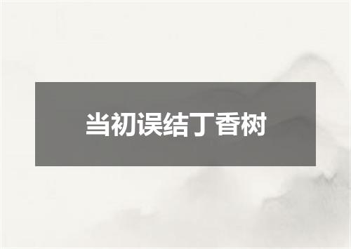 当初误结丁香树