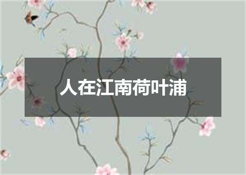 人在江南荷叶浦