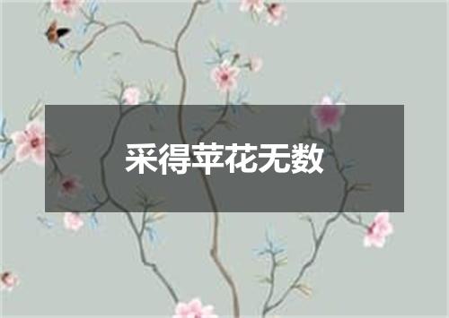 采得苹花无数