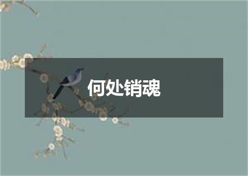 何处销魂
