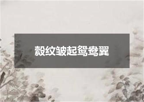 縠纹皱起鸳鸯翼