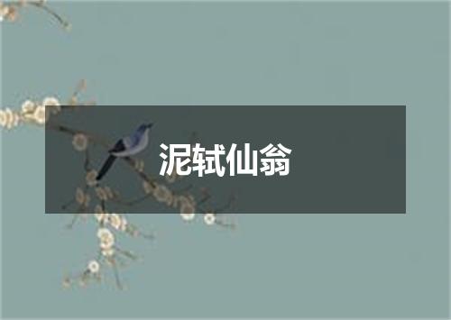 泥轼仙翁
