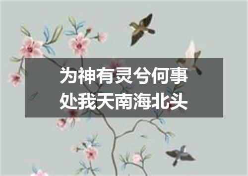 为神有灵兮何事处我天南海北头