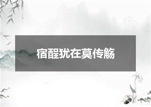 宿酲犹在莫传觞