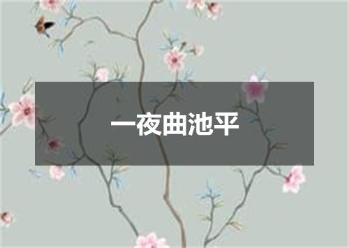 一夜曲池平