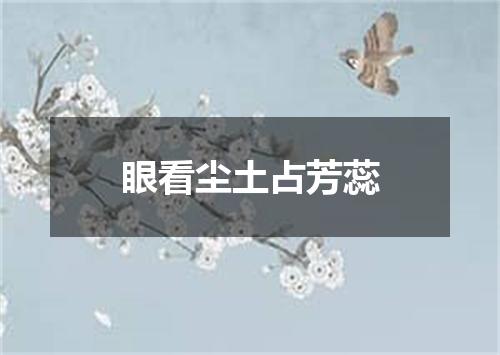 眼看尘土占芳蕊