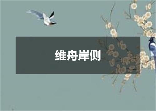 维舟岸侧