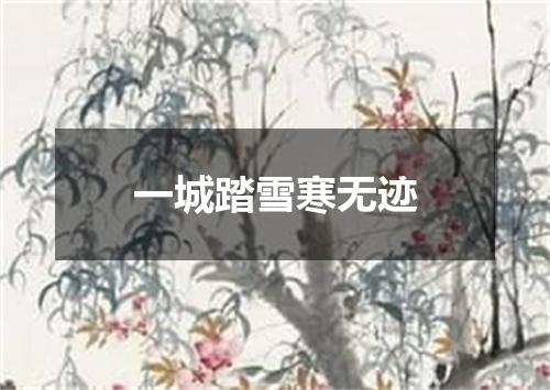 一城踏雪寒无迹
